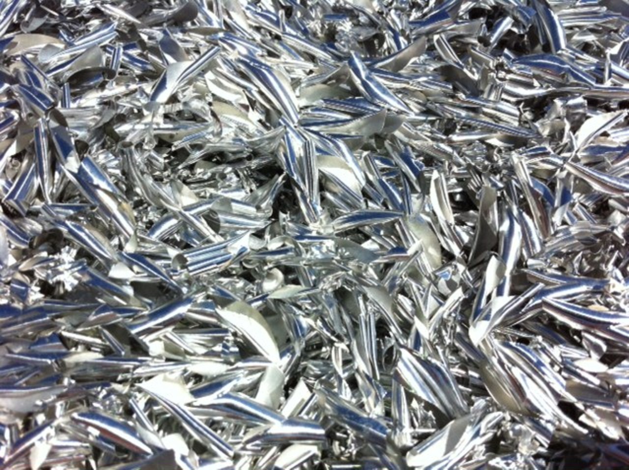 Photo: Reaching | Silver Chips